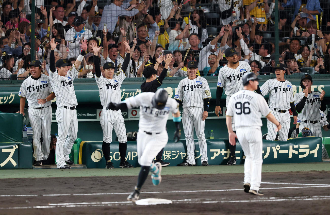 阪神対ヤクルト　5回裏阪神1死二塁、佐藤輝の右越え2点本塁打に喜ぶベンチのナイン（撮影・加藤哉）