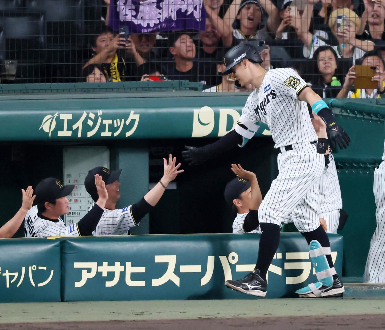 阪神対ヤクルト　5回裏阪神1死二塁、佐藤輝は右越え2点本塁打を放ちベンチの藤川監督（左）とタッチする（撮影・加藤哉）
