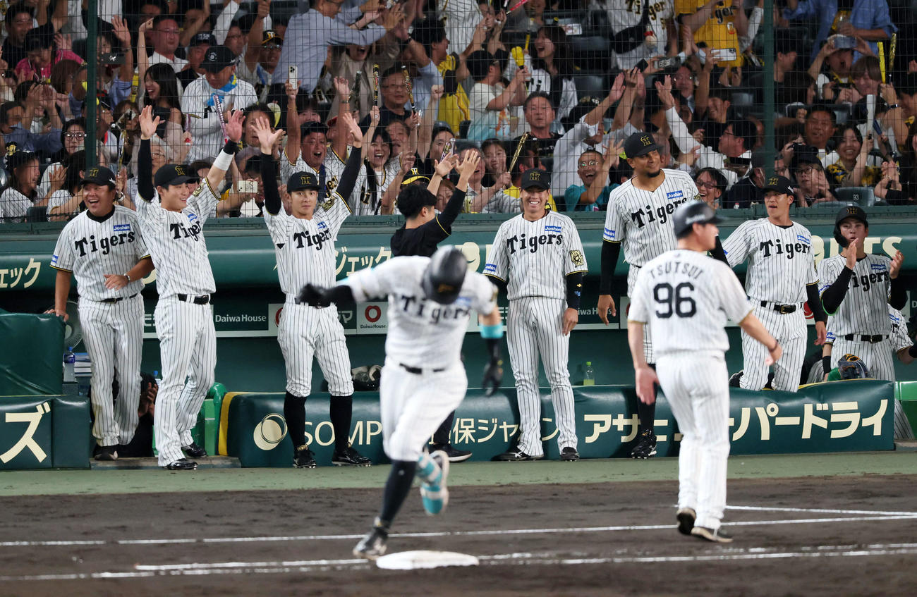 阪神対ヤクルト　5回裏阪神1死二塁、佐藤輝の右越え2点本塁打に喜ぶベンチのナイン（撮影・加藤哉）