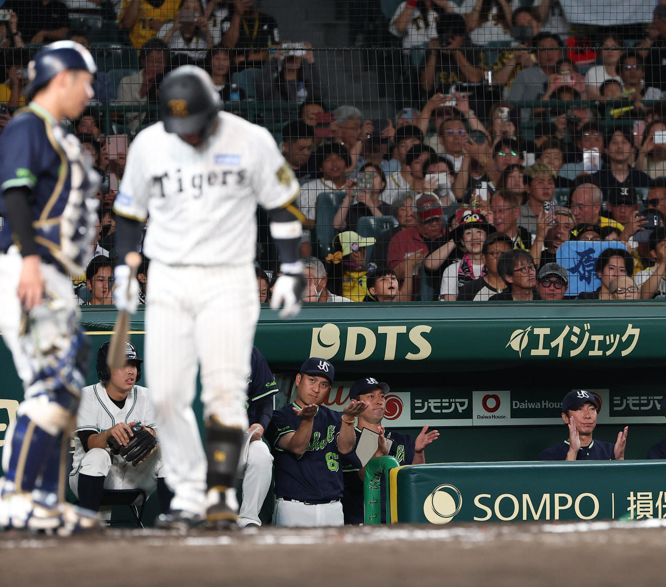 阪神対ヤクルト　　7回裏阪神2死一塁、高津監督（右）は代打原口に拍手を送る（撮影・上田博志）