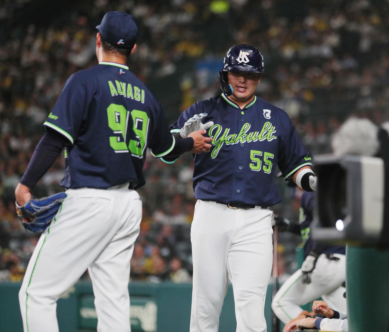 阪神対ヤクルト　4回表ヤクルト2死、村上（右）は右越え本塁打を放ち青柳とタッチをかわす（撮影・上山淳一）