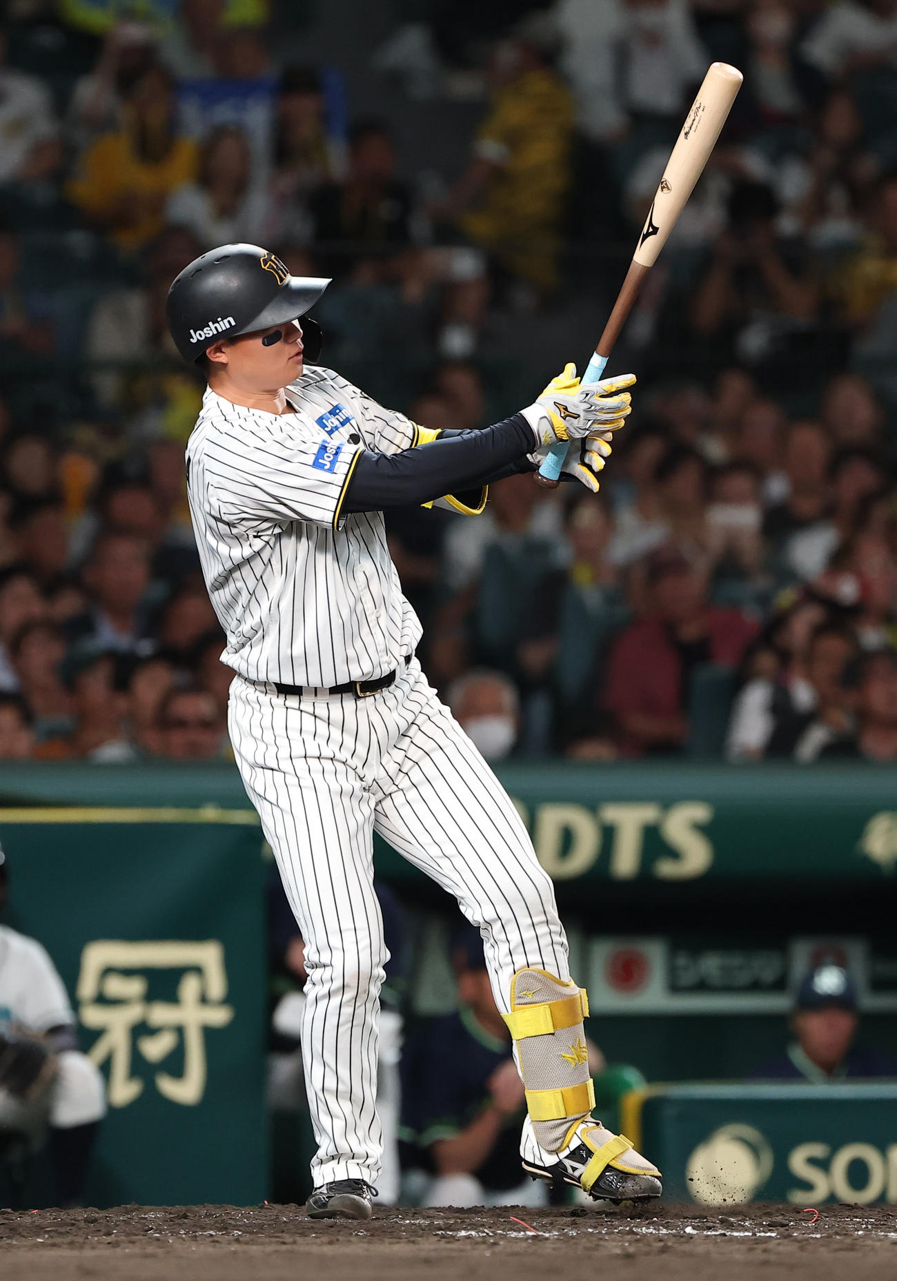 阪神対ヤクルト　5回裏阪神2死一塁、森下は三振に倒れる（撮影・上田博志）