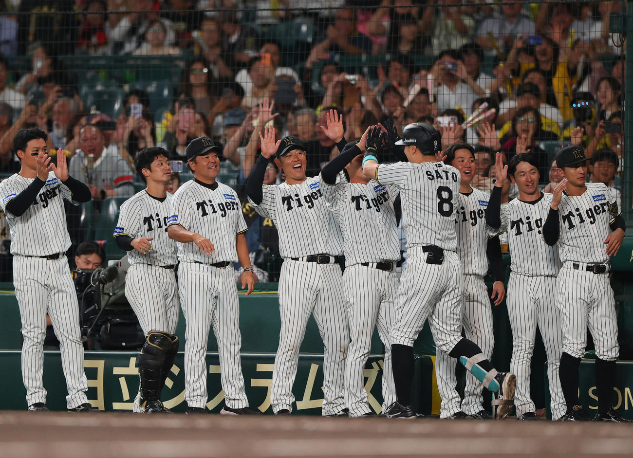 阪神対ヤクルト　5回裏阪神1死二塁、佐藤輝（手前）は右越え2点本塁打を放ち祝福を受ける（撮影・上山淳一）