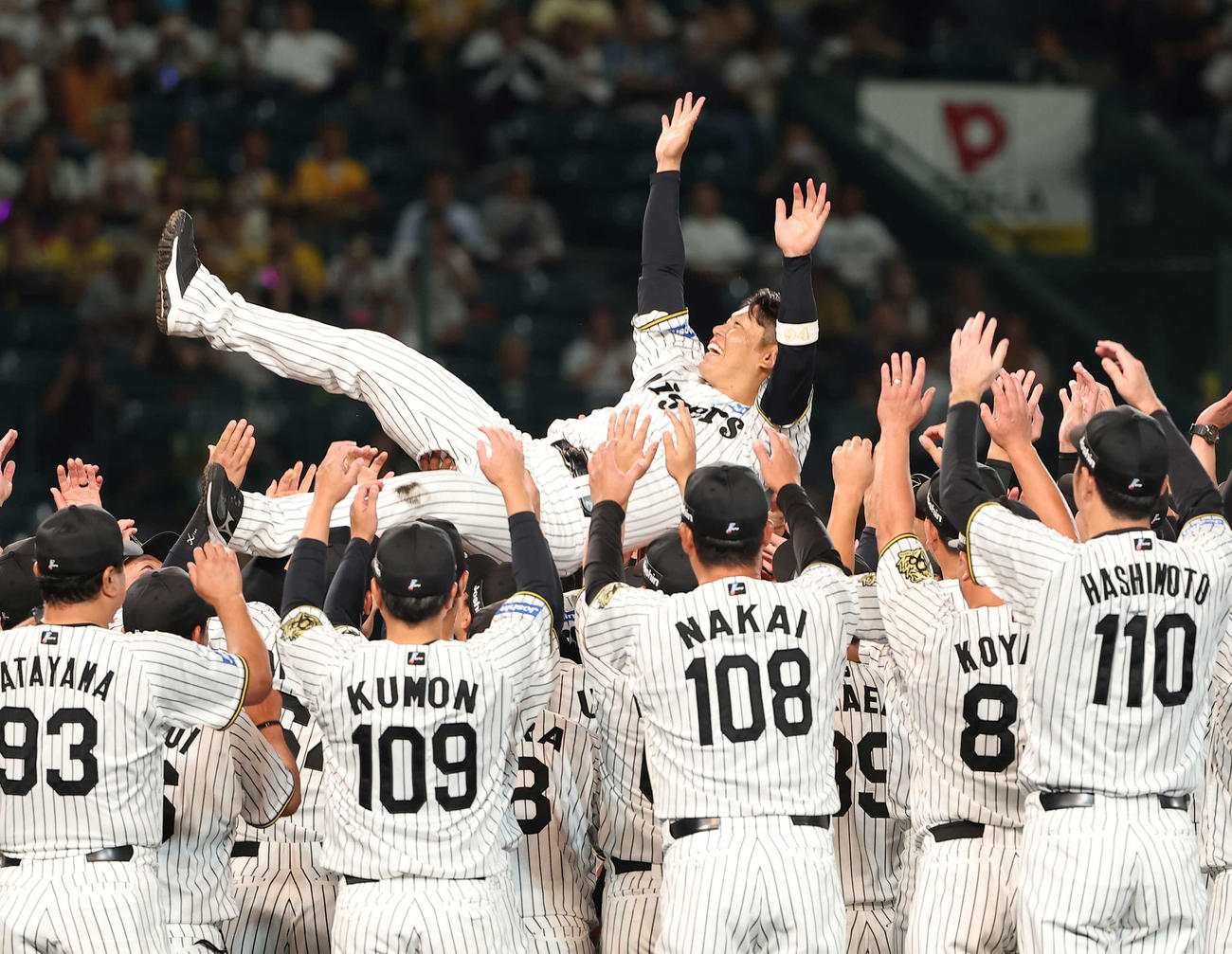 阪神対ヤクルト　　引退セレモニーで胴上げされる原口（撮影・上田博志）