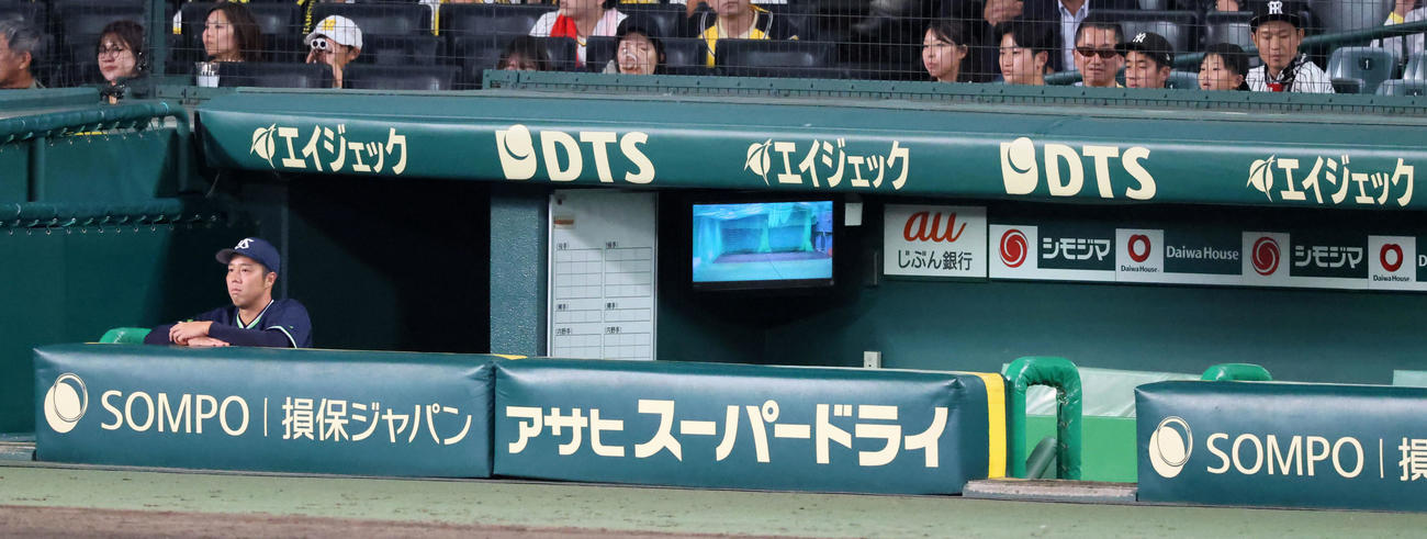 阪神対ヤクルト　原口の引退セレモニーをベンチに1人座って見守るヤクルト青柳（撮影・加藤哉）