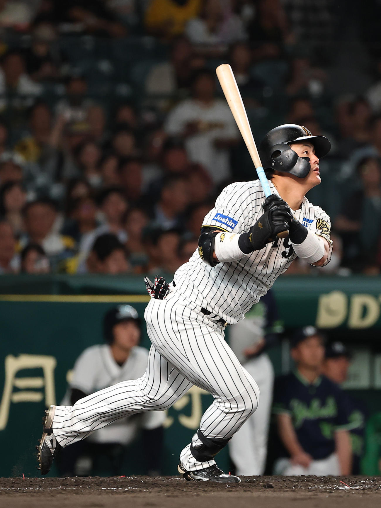 阪神前川右京は3点本塁打を放つ（2025年10月2日撮影）