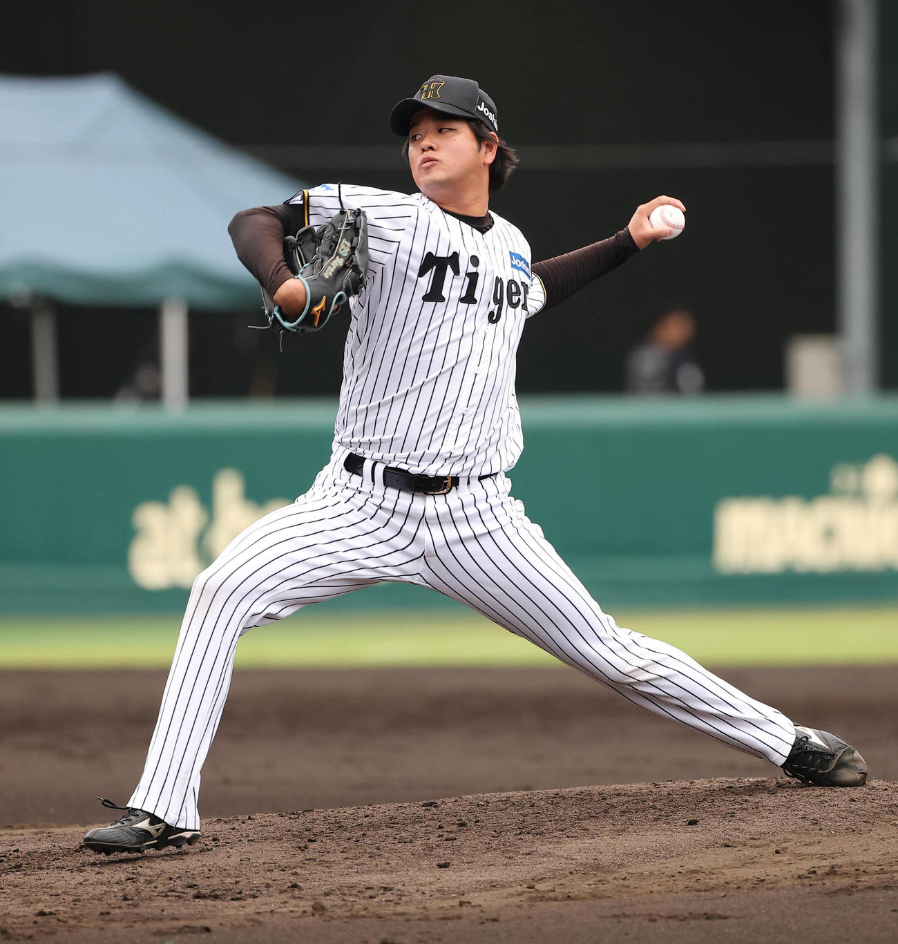 阪神対オリックス練習試合　阪神2番手の高橋（撮影・上田博志）