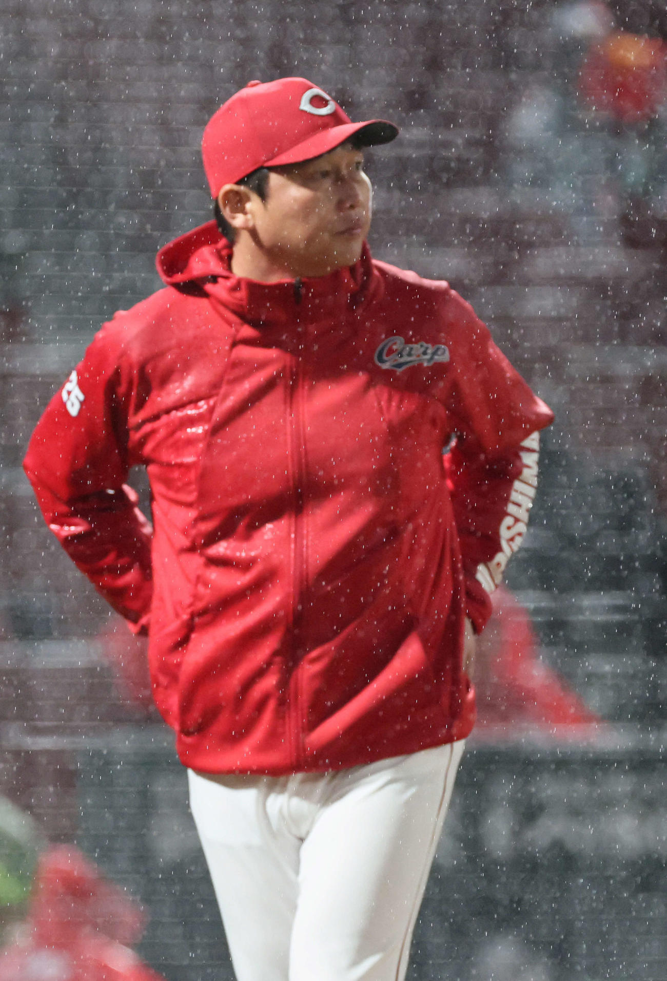広島対ヤクルト　5回表ヤクルト2死一、二塁、投手交代を告げる新井監督（撮影・加藤孝規）