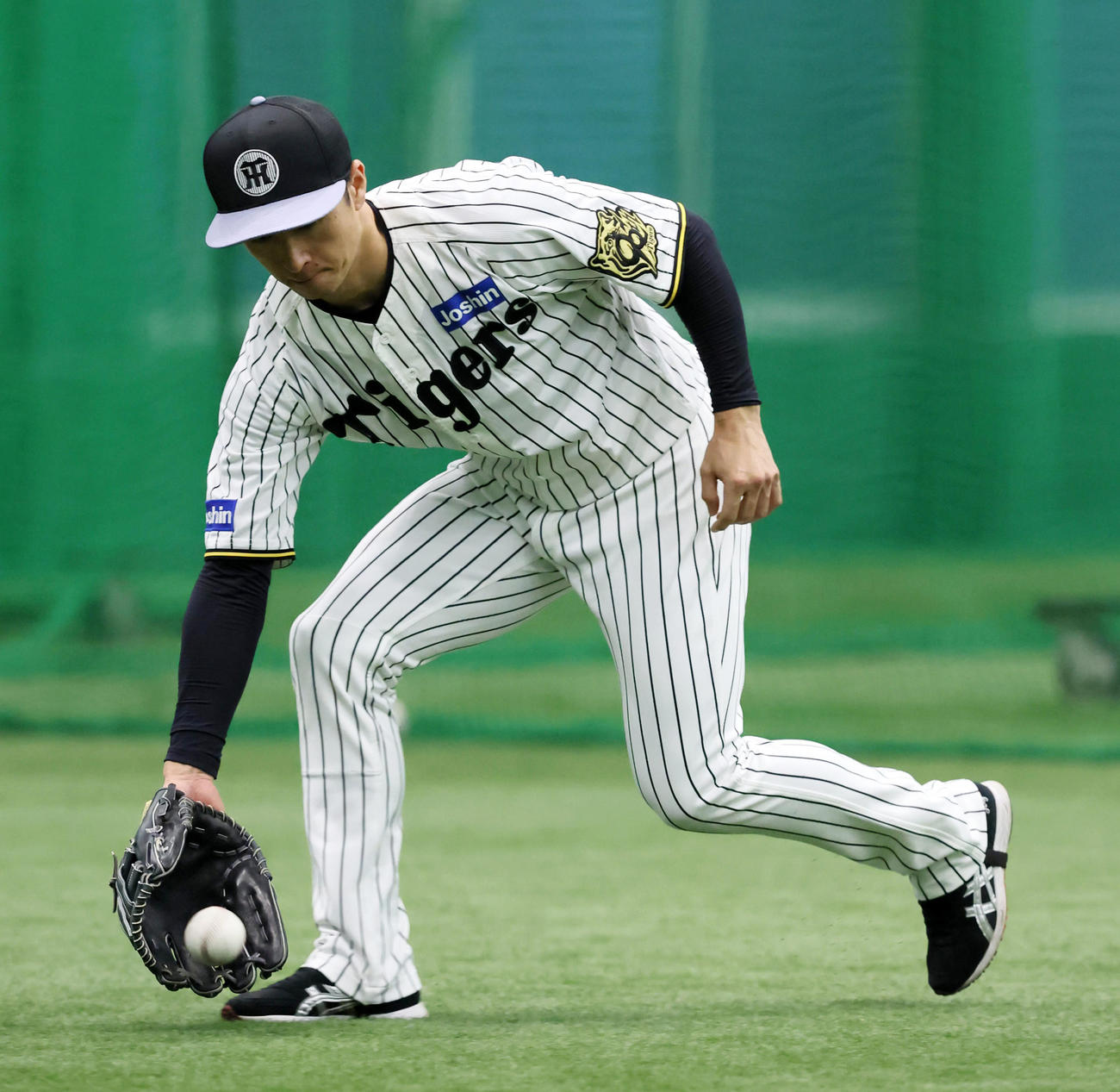 守備練習する阪神近本（撮影・加藤哉）