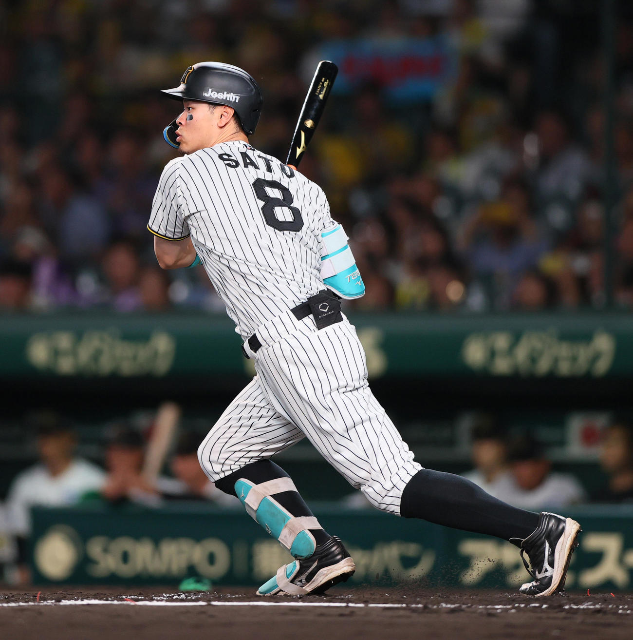 阪神佐藤輝明（2025年10月2日撮影）