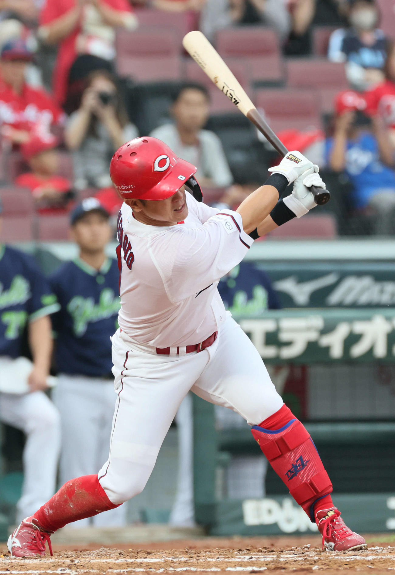 広島対ヤクルト　7回裏広島1死、代打の上本は内野ゴロ（撮影・加藤孝規）