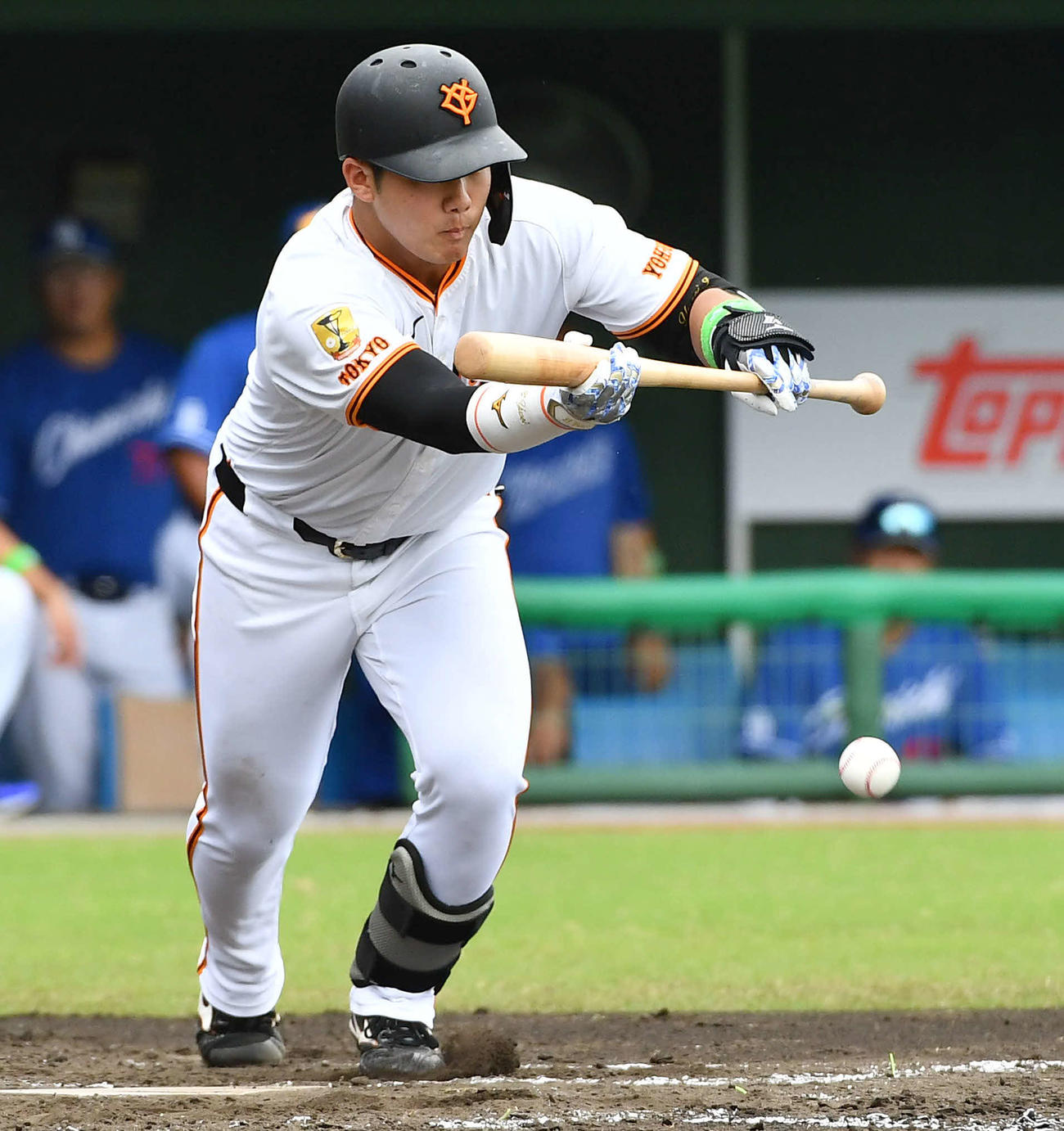 ファーム日本選手権巨人対中日　3回裏巨人無死一、二塁、一塁前へ犠打を成功させる石塚（撮影・岩下翔太）