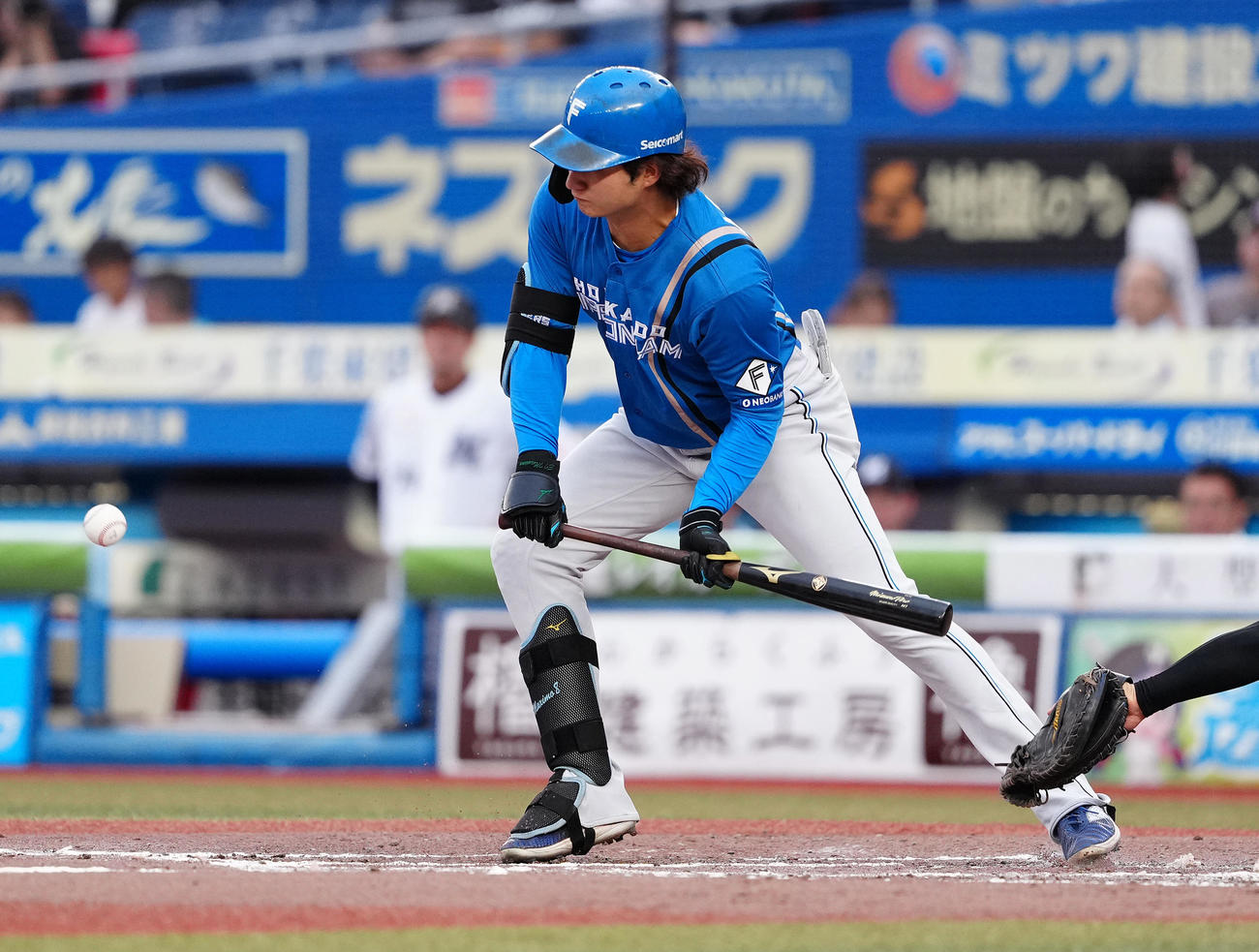 ロッテ対日本ハム　8回表日本ハム無死一、二塁、送りバントを決める浅間（撮影・鈴木みどり）