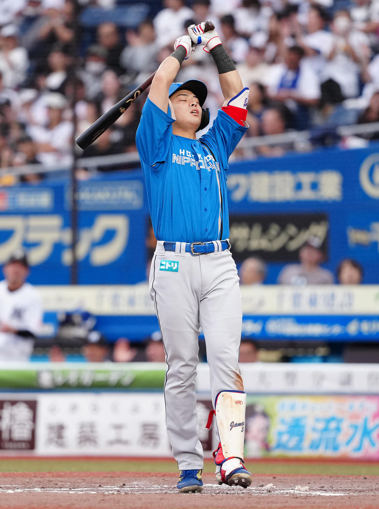 ロッテ対日本ハム　8回表日本ハム1死二、三塁、空振り三振に倒れ、悔しがる野村（撮影・鈴木みどり）