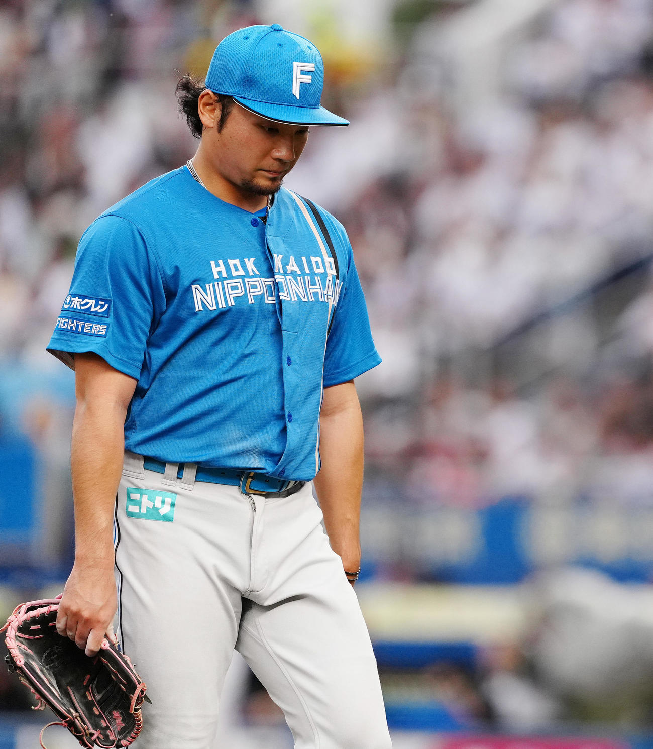ロッテ対日本ハム　8回裏を終え、うつむきながらベンチへ戻る日本ハム伊藤（撮影・鈴木みどり）