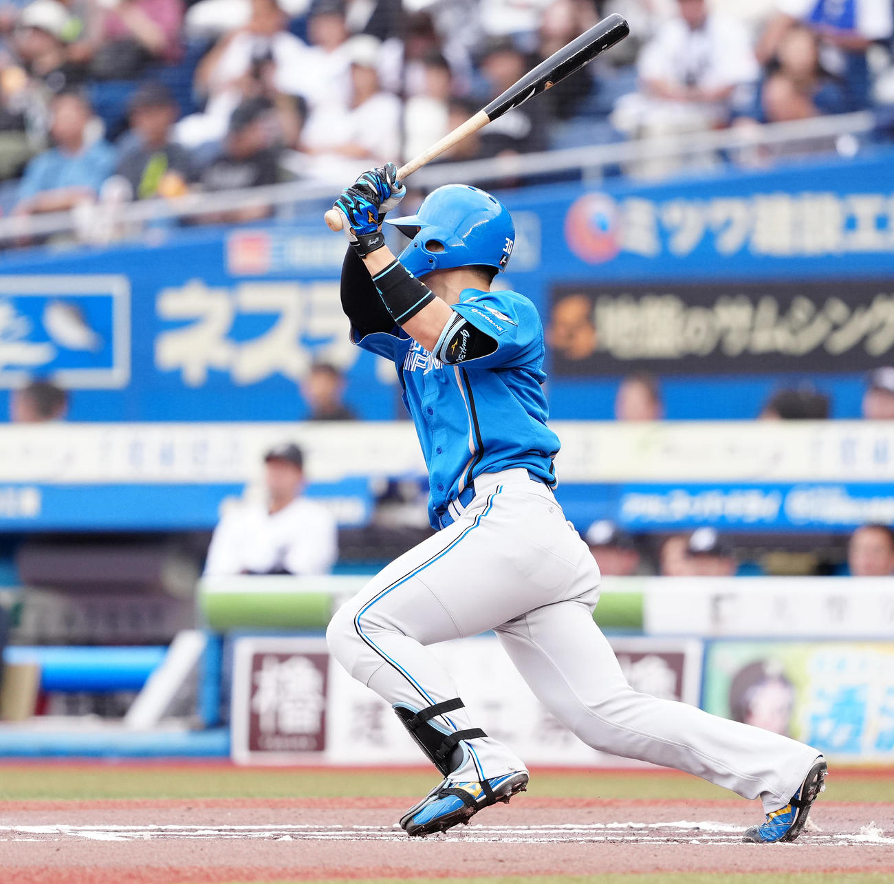 ロッテ対日本ハム　6回表日本ハ無死一塁、右前打を放つ郡司（撮影・鈴木みどり）