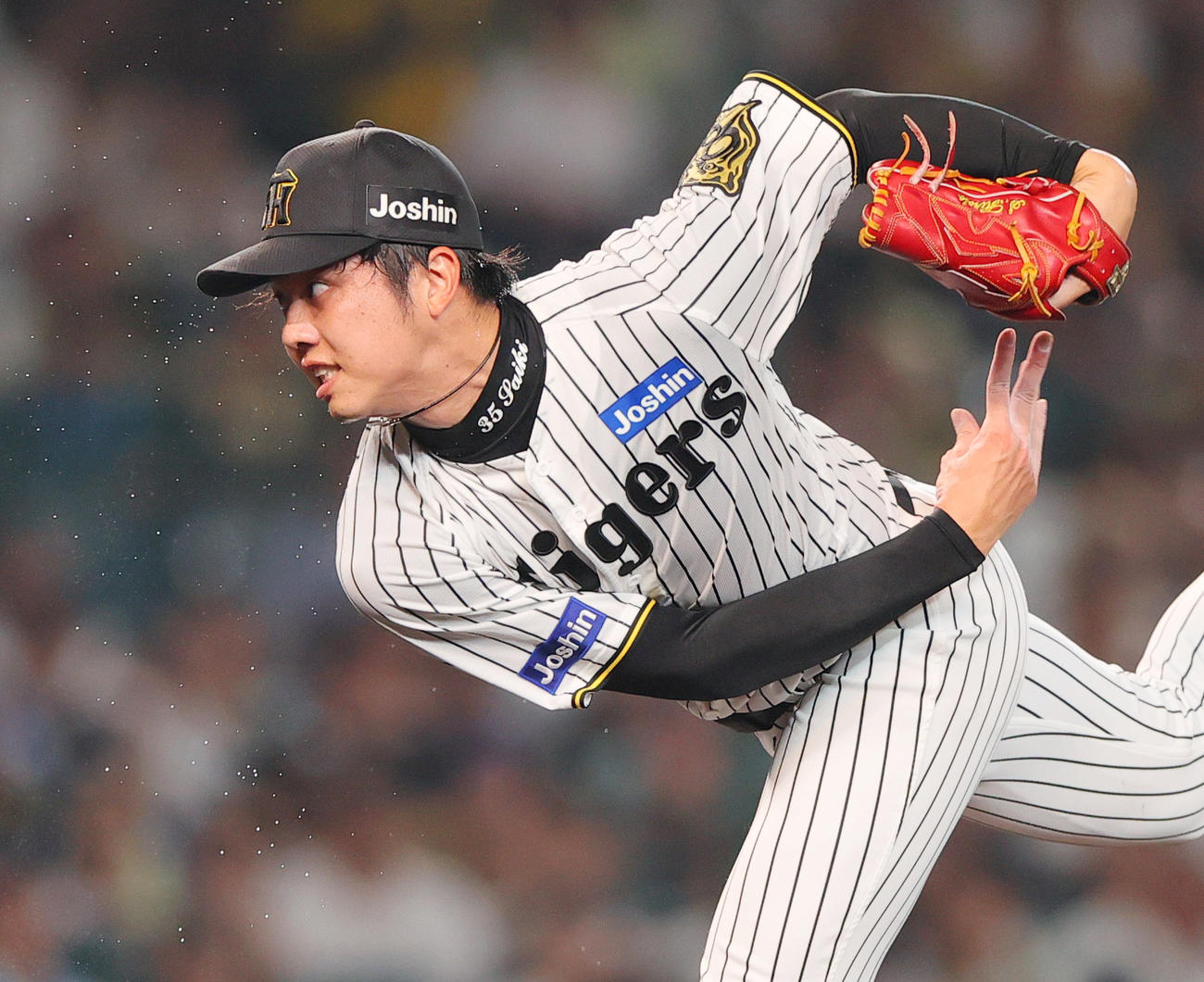阪神才木浩人（2025年9月14日撮影）