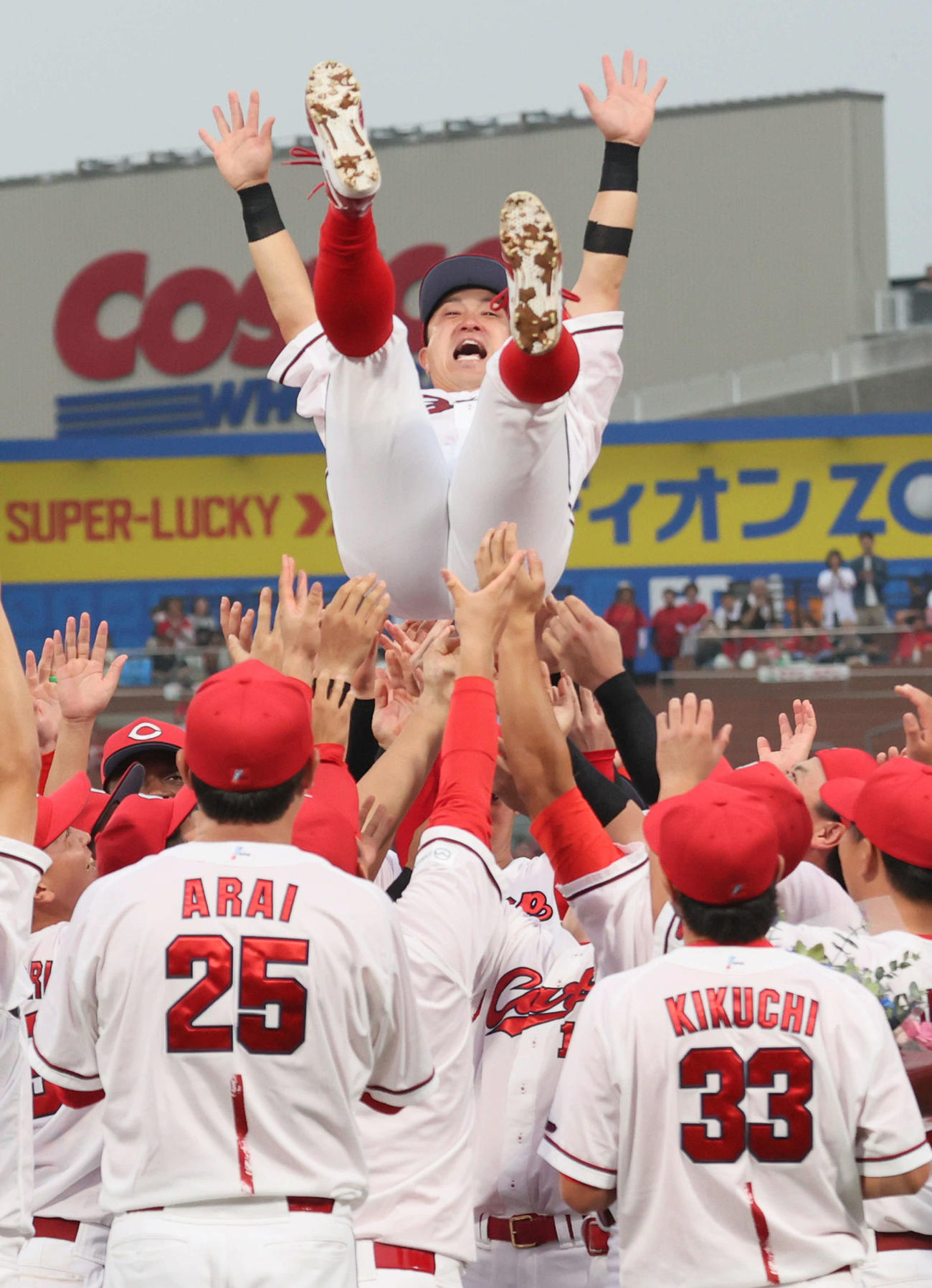 広島対ヤクルト　試合終了後、胴上げされる上本（撮影・加藤孝規）