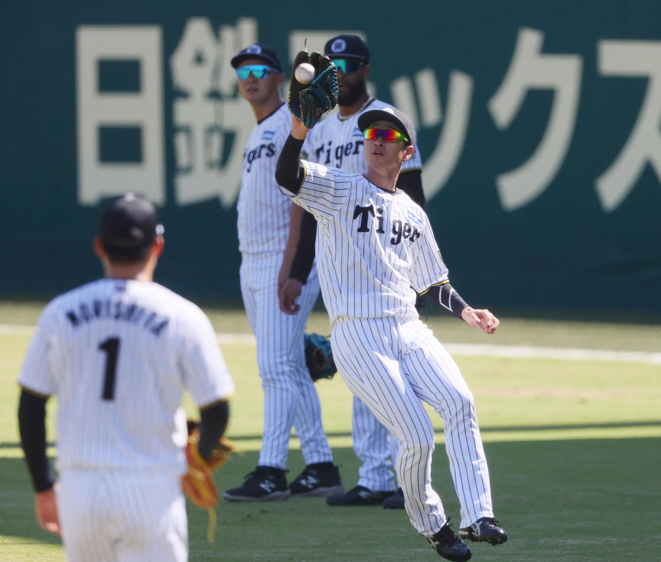 外野ノックを受ける阪神近本（撮影・上山淳一）