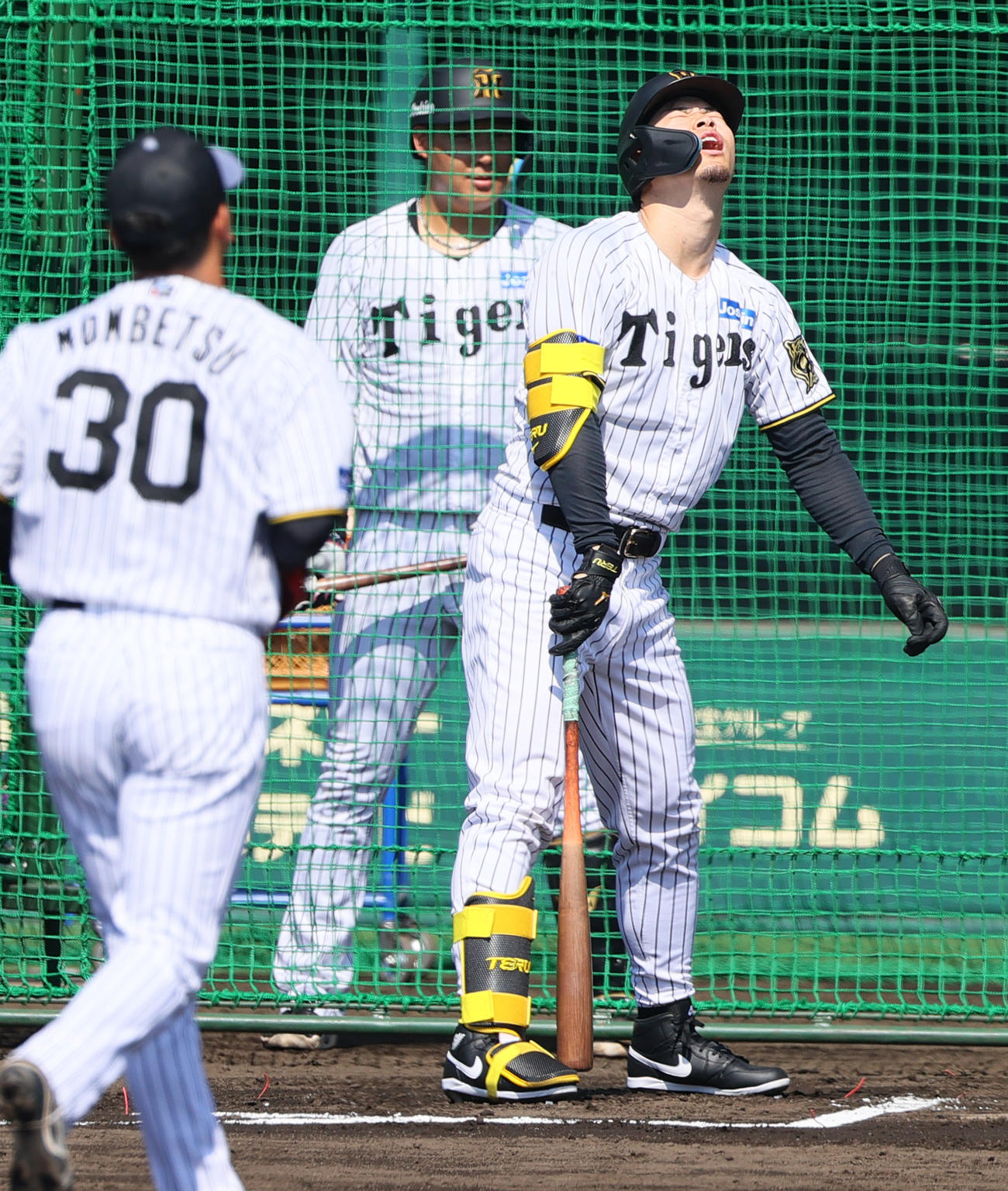 ケース打撃でセフティーバントを失敗する阪神佐藤輝（撮影・上山淳一）