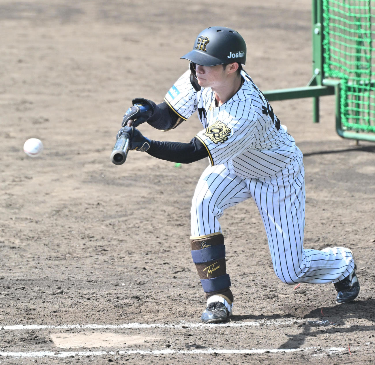 打撃練習をする中野（撮影・石井愛子）