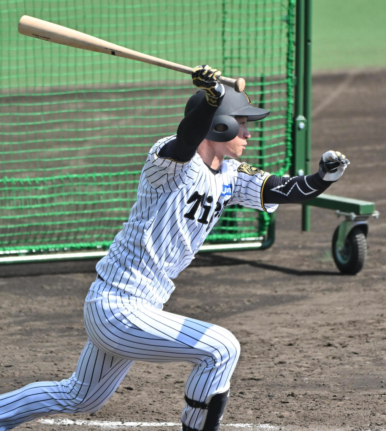 打撃練習をする近本（撮影・石井愛子）