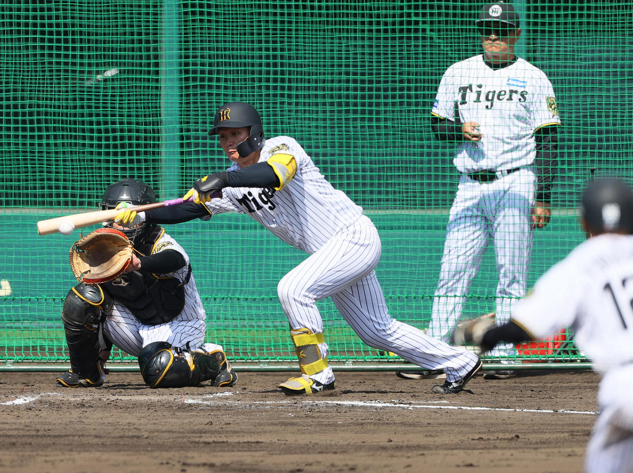 ケース打撃無死二塁、森下は投前犠打を決める（撮影・上山淳一）
