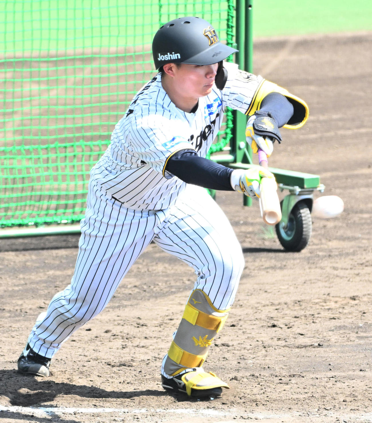 バント練習をする森下（撮影・石井愛子）