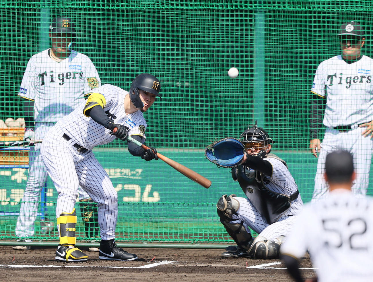 ケース打撃でセフティーバントを失敗する阪神佐藤輝（撮影・上山淳一）
