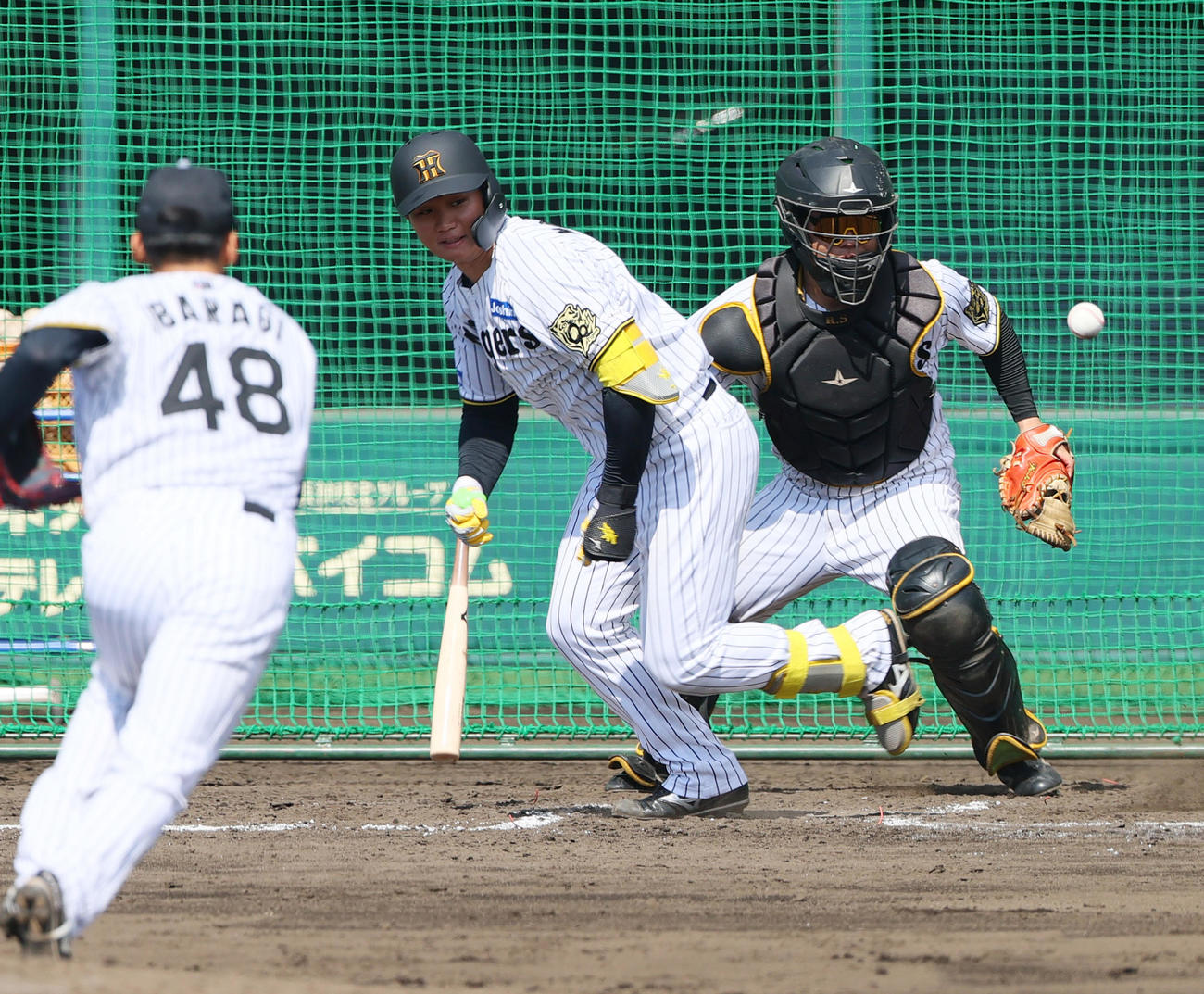 ケース打撃無死二塁、森下は投前犠打を決める（撮影・上山淳一）