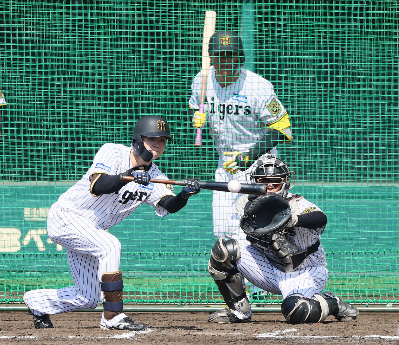 阪神中野はケース打撃で犠打を決める（撮影・上山淳一）