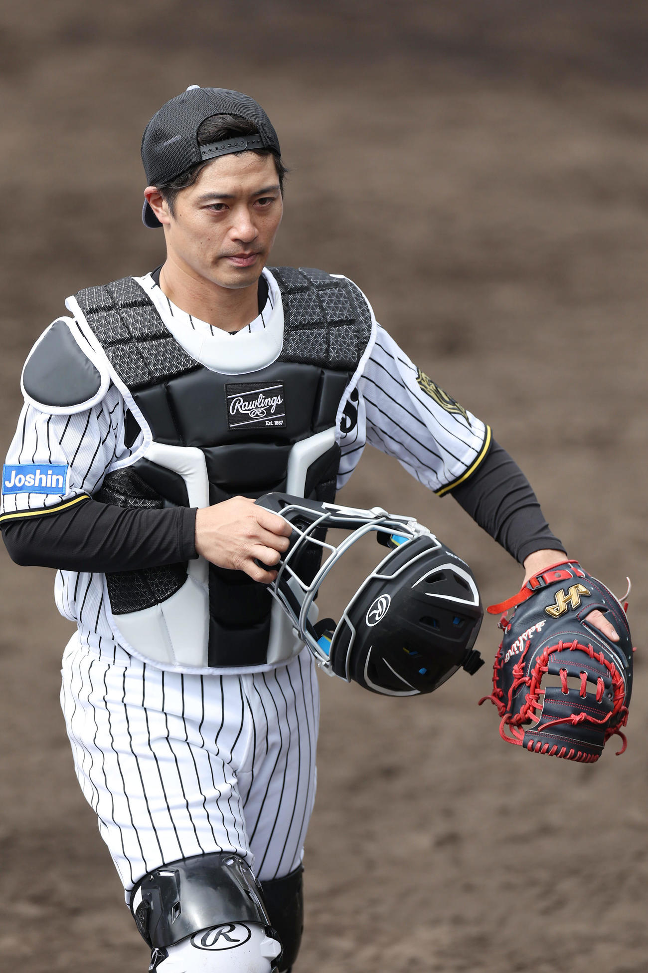阪神坂本誠志郎（2025年2月撮影）