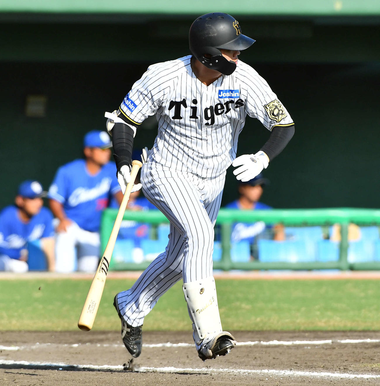 阪神対中日　8回裏阪神2死三塁、楠本は勝ち越しの左前適時打を放つ（撮影・岩下翔太）