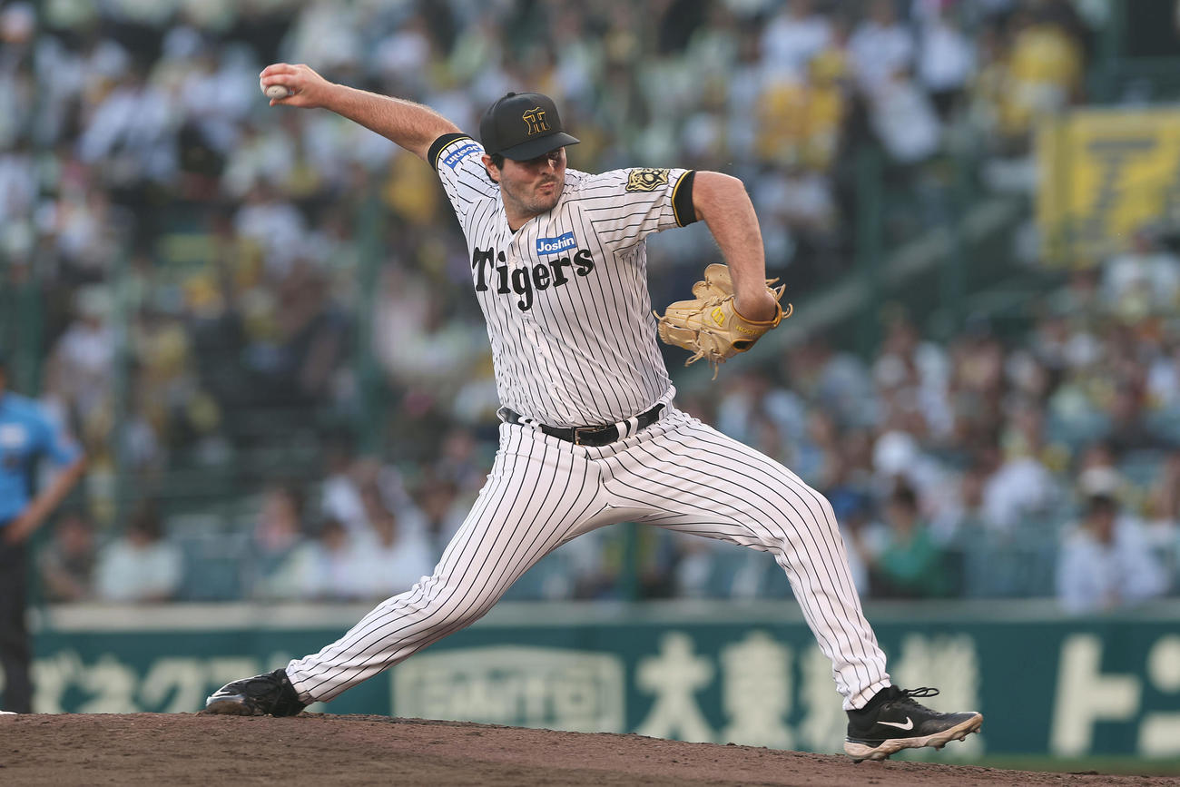 2球で緊急降板となった阪神ハートウィグ（2025年9月撮影）