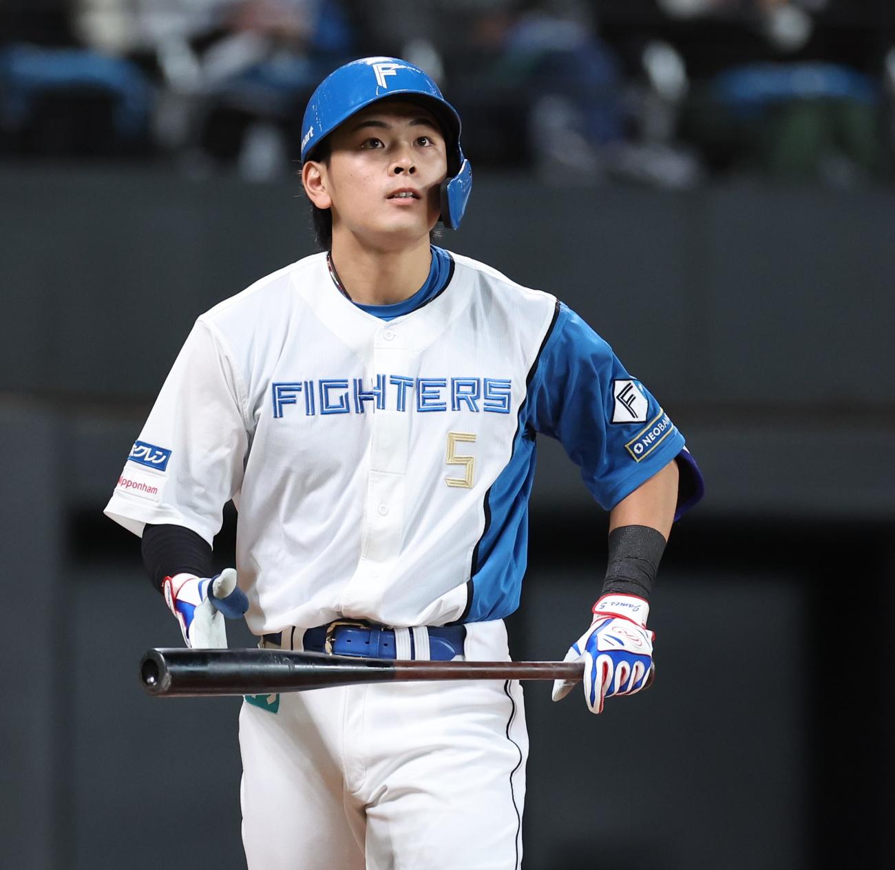 日本ハム紅白戦　2回裏白組1死、三振に終わる野村（撮影・黒川智章）