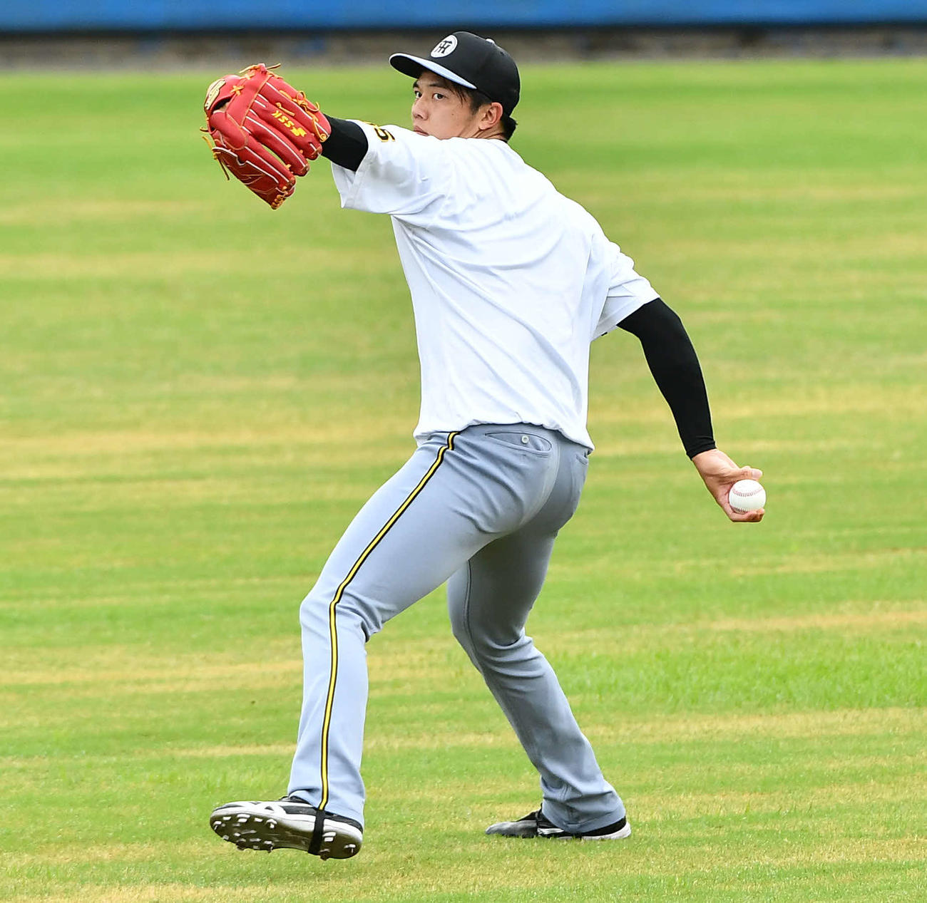 西武対阪神　試合前、キャッチボールを行う阪神才木（撮影・岩下翔太）