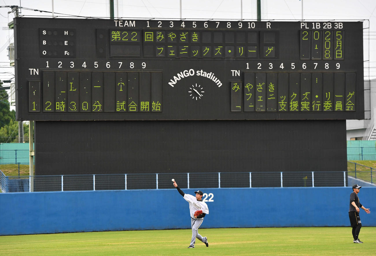 西武対阪神　試合前、キャッチボールを行う阪神才木（撮影・岩下翔太）