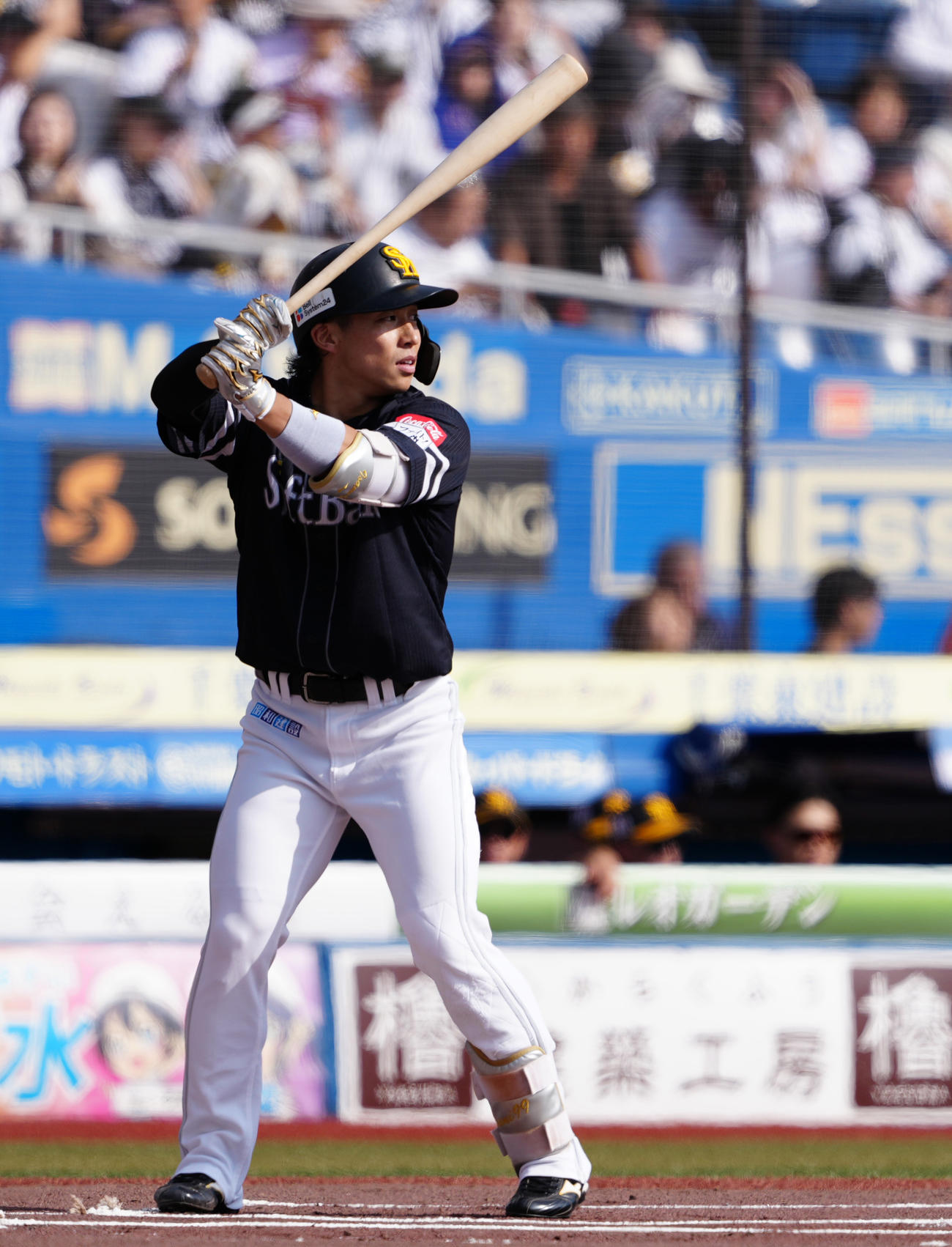 ソフトバンク野村勇（2025年10月5日撮影）