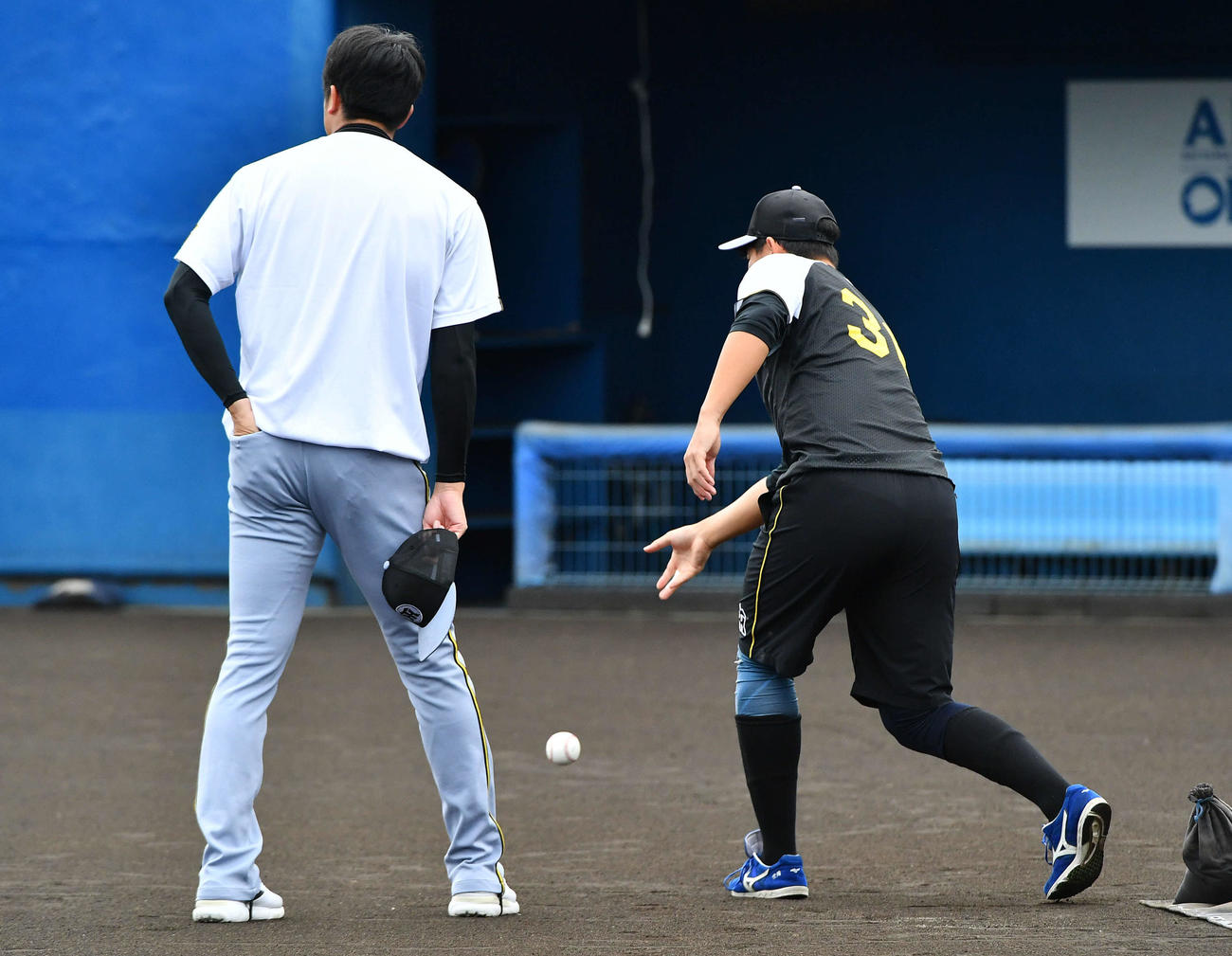 西武対阪神　試合前、ボールを転がしてグラウンドの状態を確認する阪神畠（右）と才木（撮影・岩下翔太）