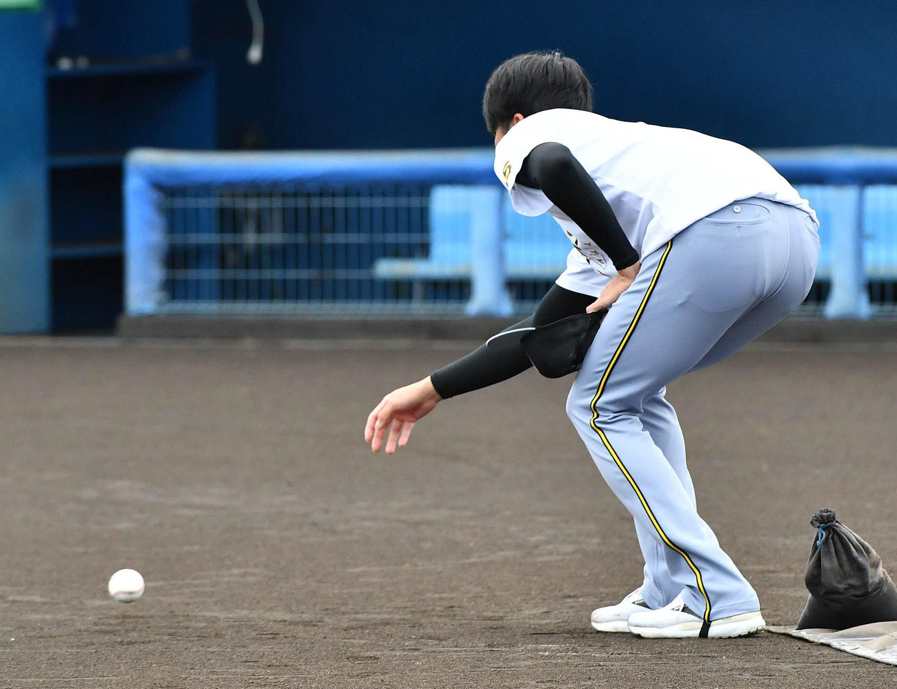 西武対阪神　試合前、ボールを転がしてグラウンドの状態を確認する阪神才木（撮影・岩下翔太）