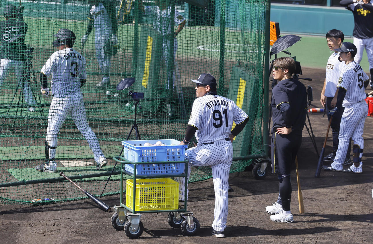 阪神大山らの打撃練習を見つめる糸井SA（手前右）（撮影・藤尾明華）