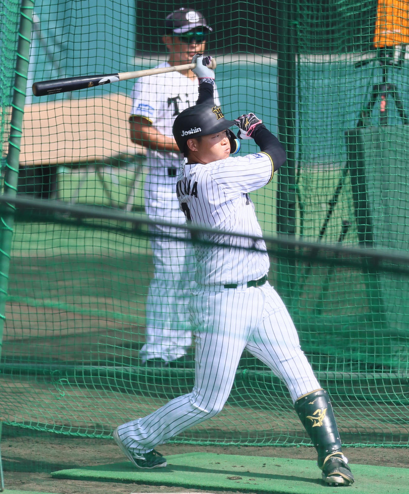 打撃練習をする阪神大山（撮影・藤尾明華）