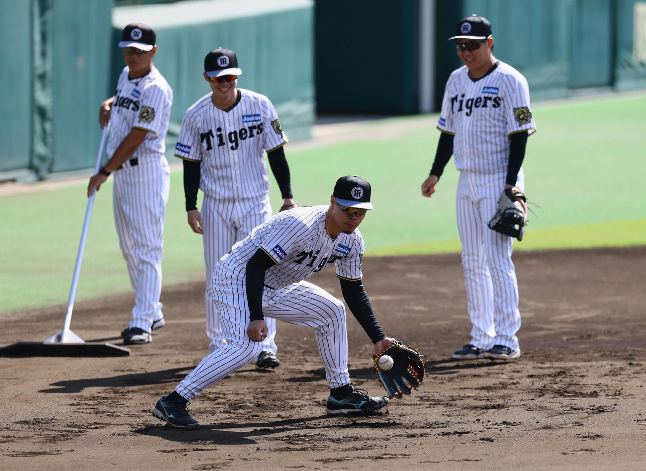ノックを受ける阪神佐藤輝（中央）（撮影・藤尾明華）