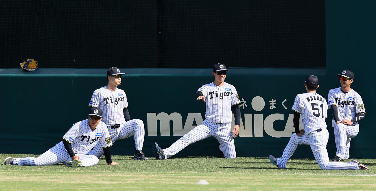 ストレッチをする左から阪神大山、佐藤輝、森下、中野、近本（撮影・藤尾明華）