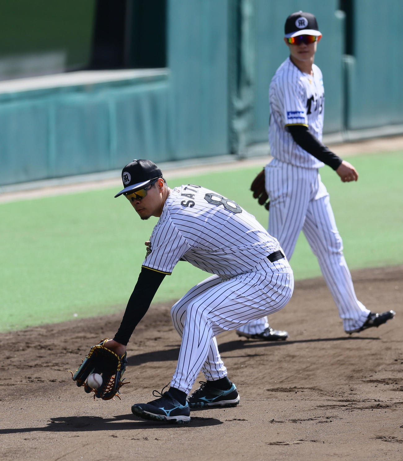 ノックを受ける阪神佐藤輝（撮影・藤尾明華）