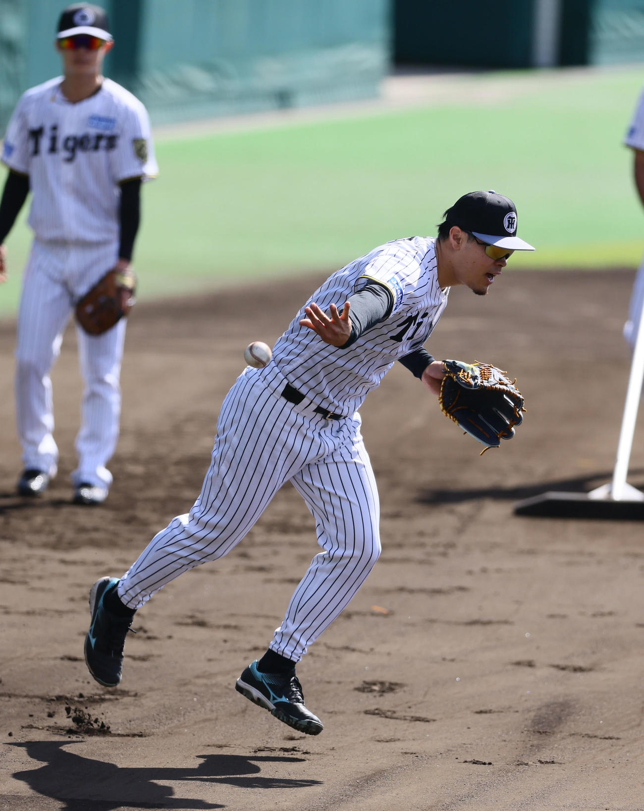 ノックを受ける阪神佐藤輝（撮影・藤尾明華）
