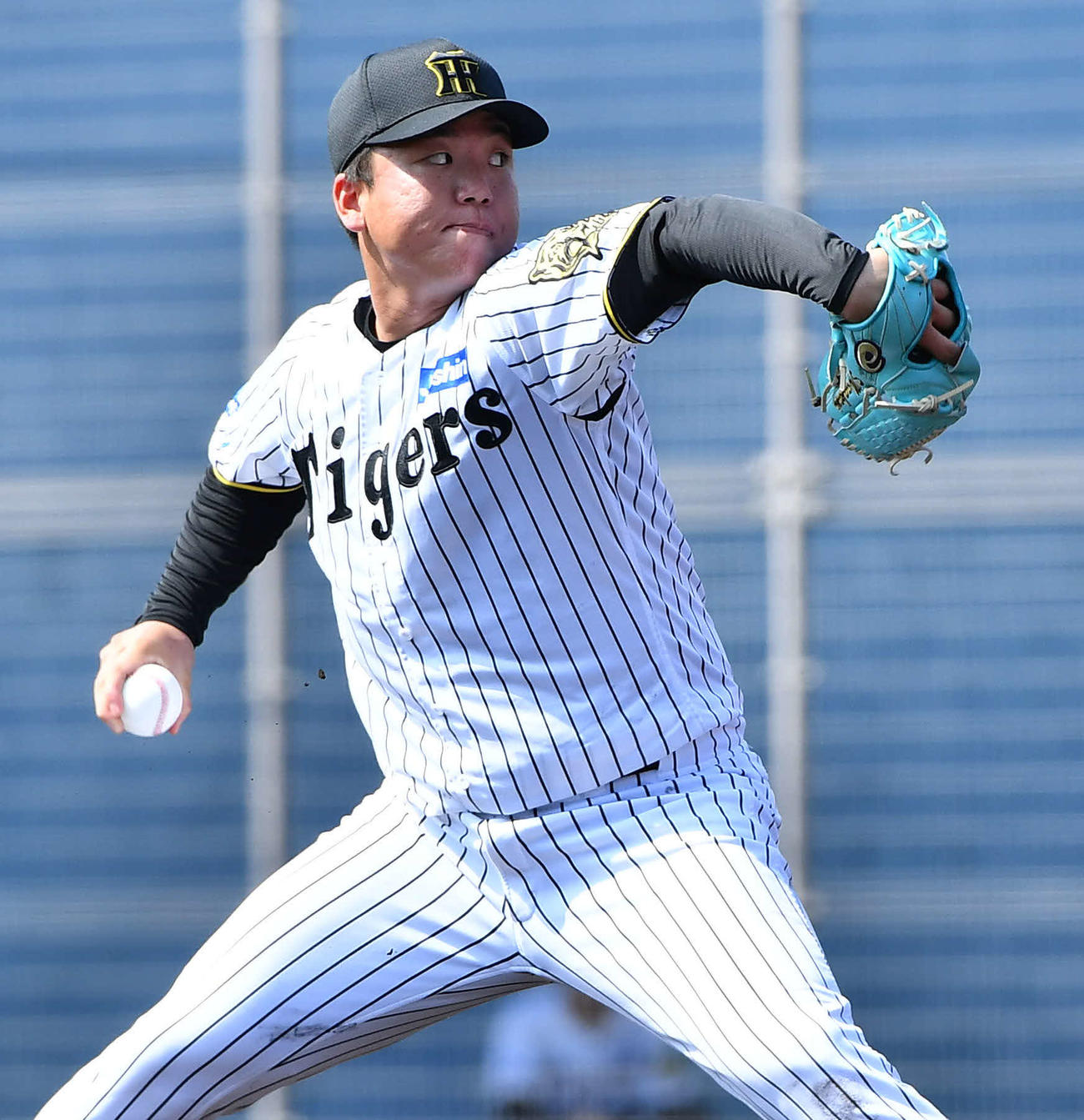 阪神対くふうハヤテ　阪神先発の村上（撮影・岩下翔太）