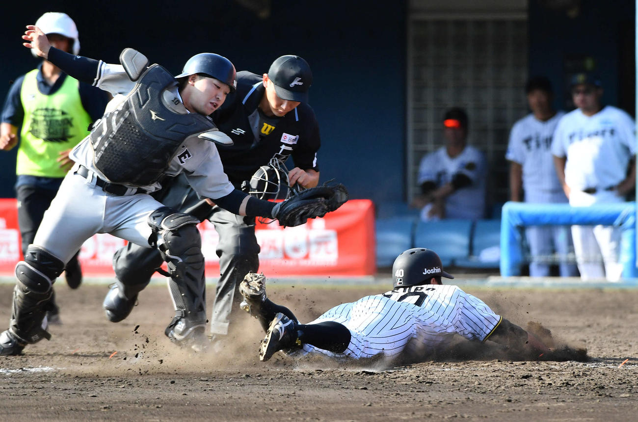 阪神対くふうハヤテ　9回裏阪神1死二塁、原口の同点左前適時打で生還する井坪（撮影・岩下翔太）