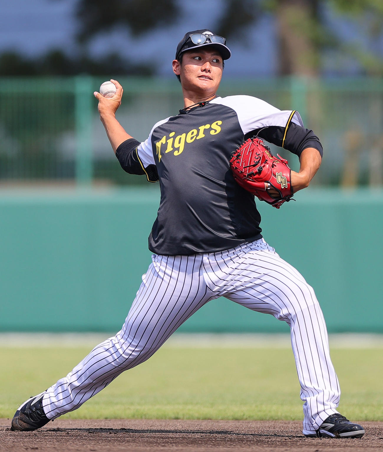 阪神西純矢（2025年6月27日撮影）