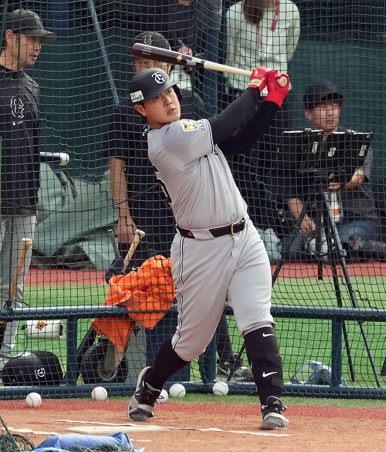 フリー打撃を行う巨人岡本（撮影・たえ見朱実）